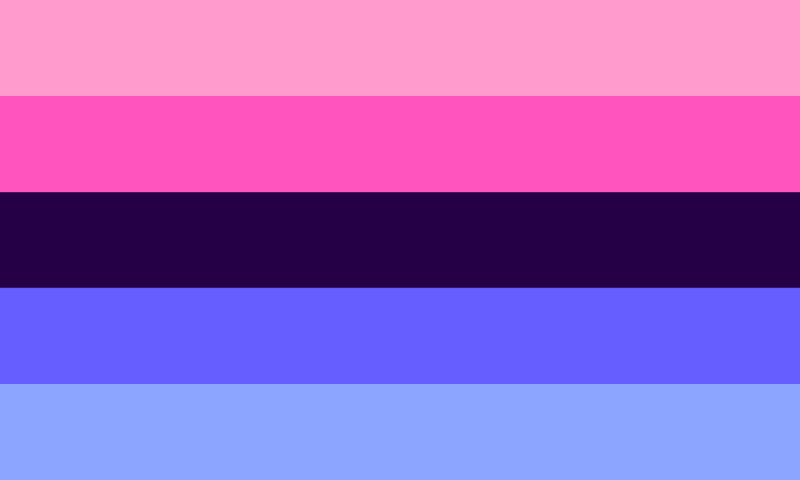 Omnisexual flag