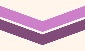 Queer chevron flag